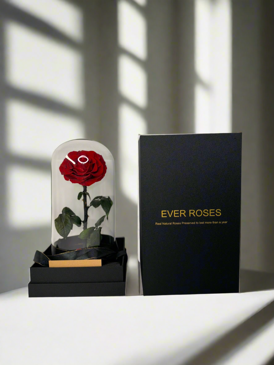 Preserved Red Rose