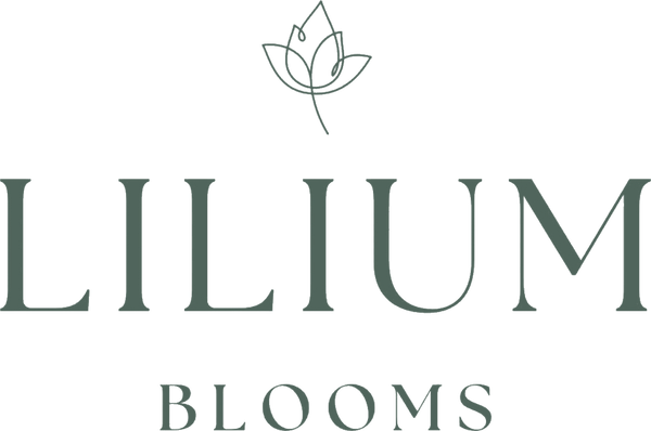 Lilium Blooms